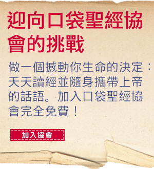 接受挑战